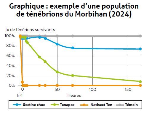 Essai efficacité NATISECT TEN